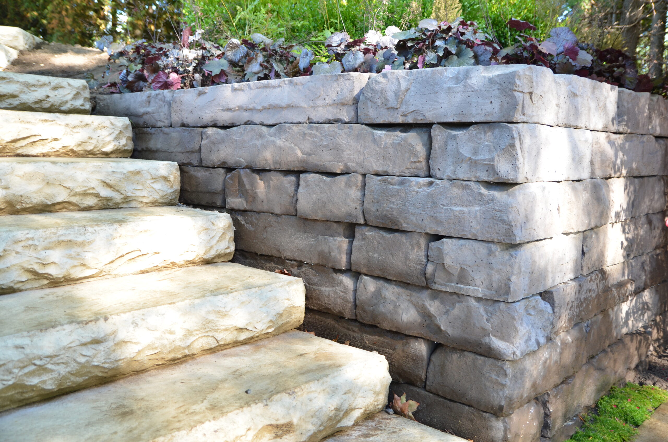 MDCYard_DS_CFDL_K_CW_2