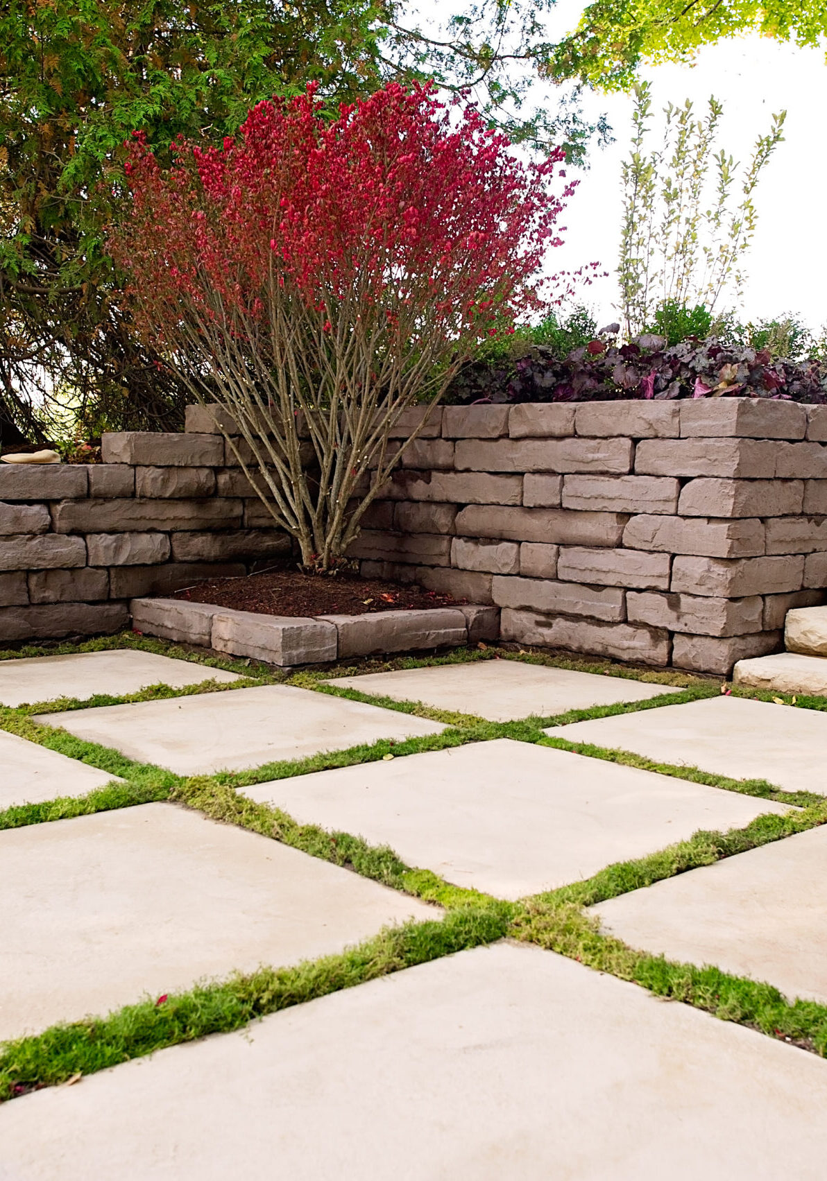 MDCYard_K_CW_DS_CFDL_M_CS_5